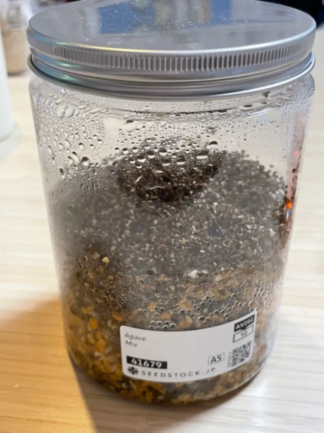 Agave Mix (アガベ ミックス)