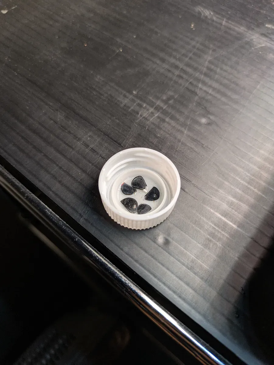 アガベ イシスメンシス Agave isthmensis | 人気品種 耐寒性 レア 雷帝 メキシコ原産