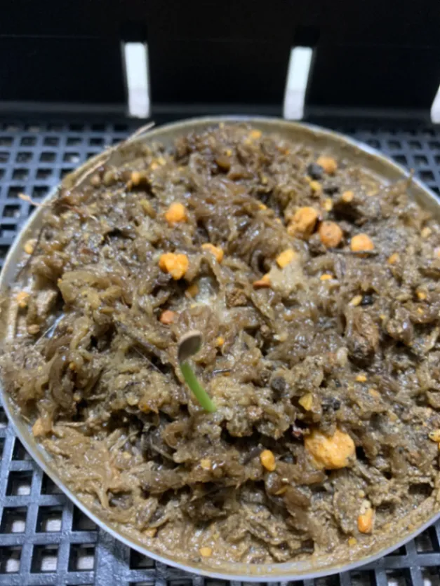 パキポディウム バロニー Pachypodium baronii