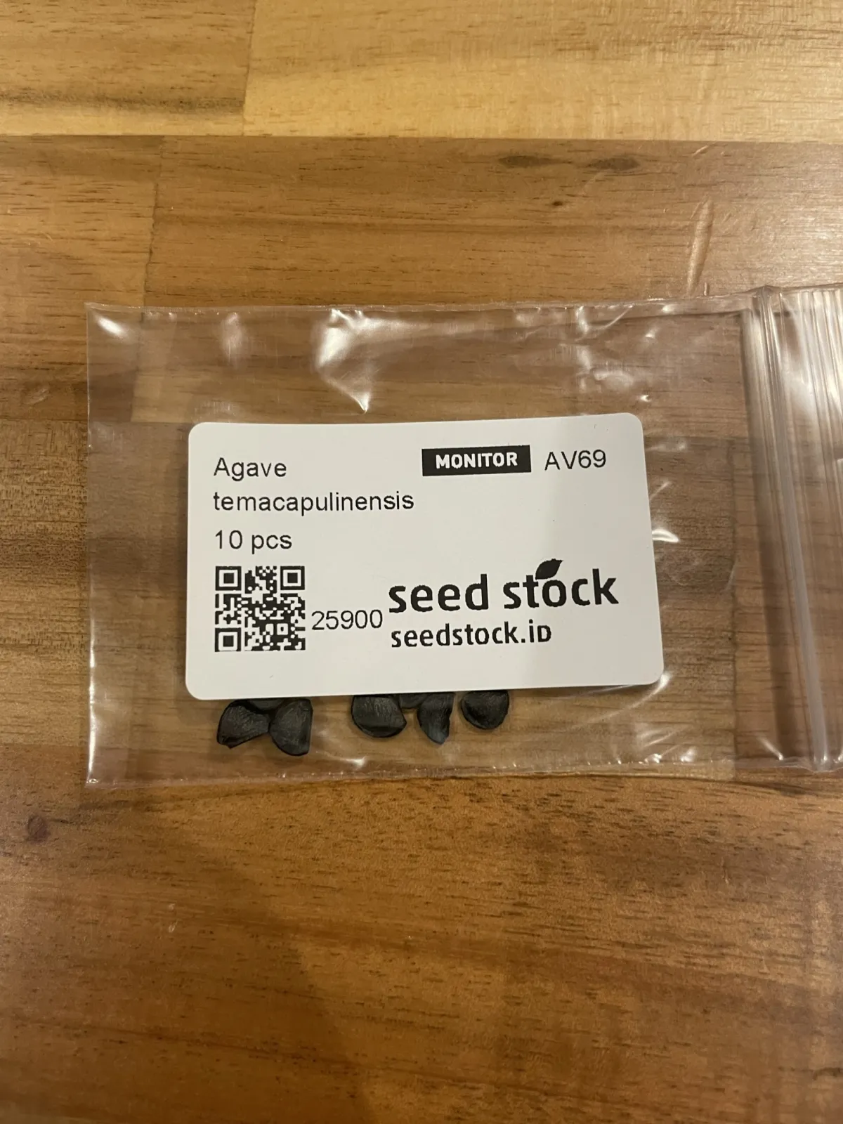 Agave temacapulinensis (アガベ テマカプリネンシス)