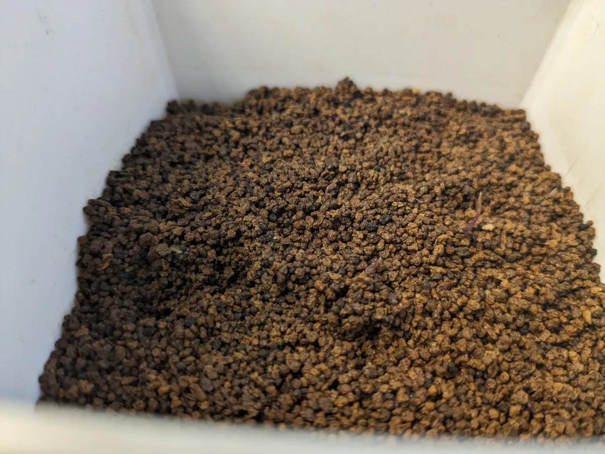 [チャレンジ種子] 亀甲竜 Dioscorea elephantipes ディオスコレア エレファンティペス 未発芽ロット