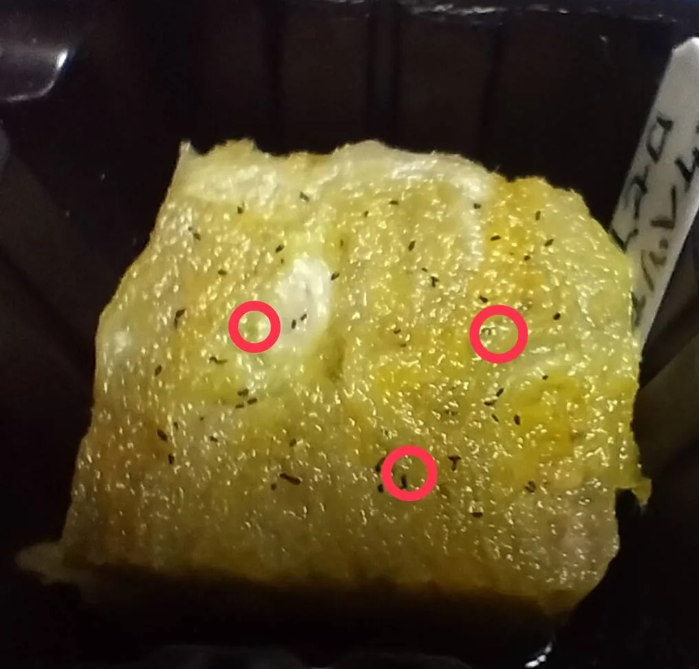 Echeveria rosea (エケベリア ロゼア)