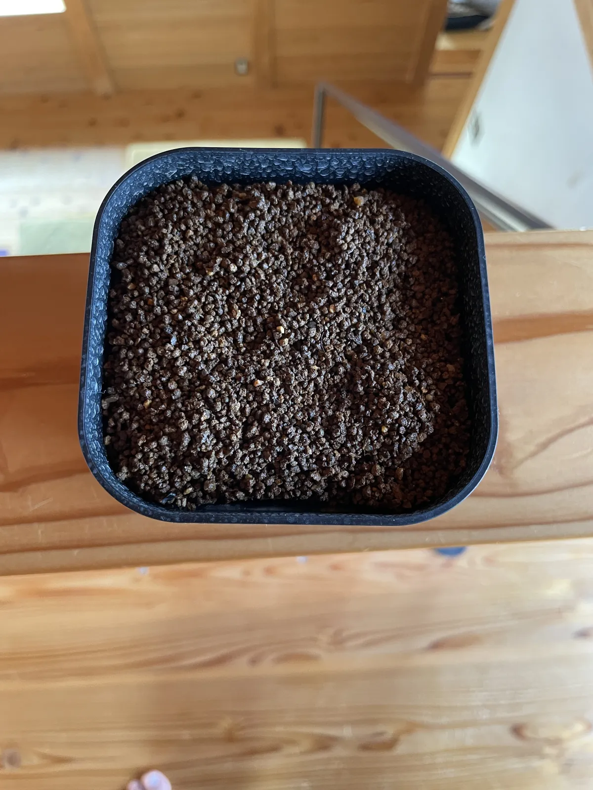 Aloe reitzii (アロエ レイジー)