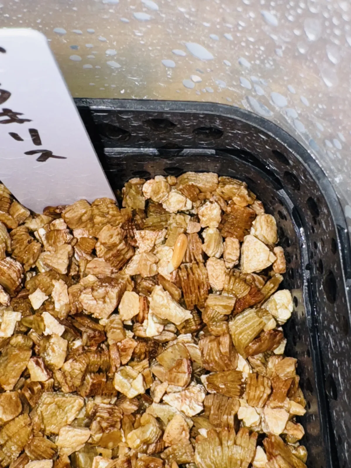 Pachypodium rosulatum var. gracilius (パキポディウム グラキリス)