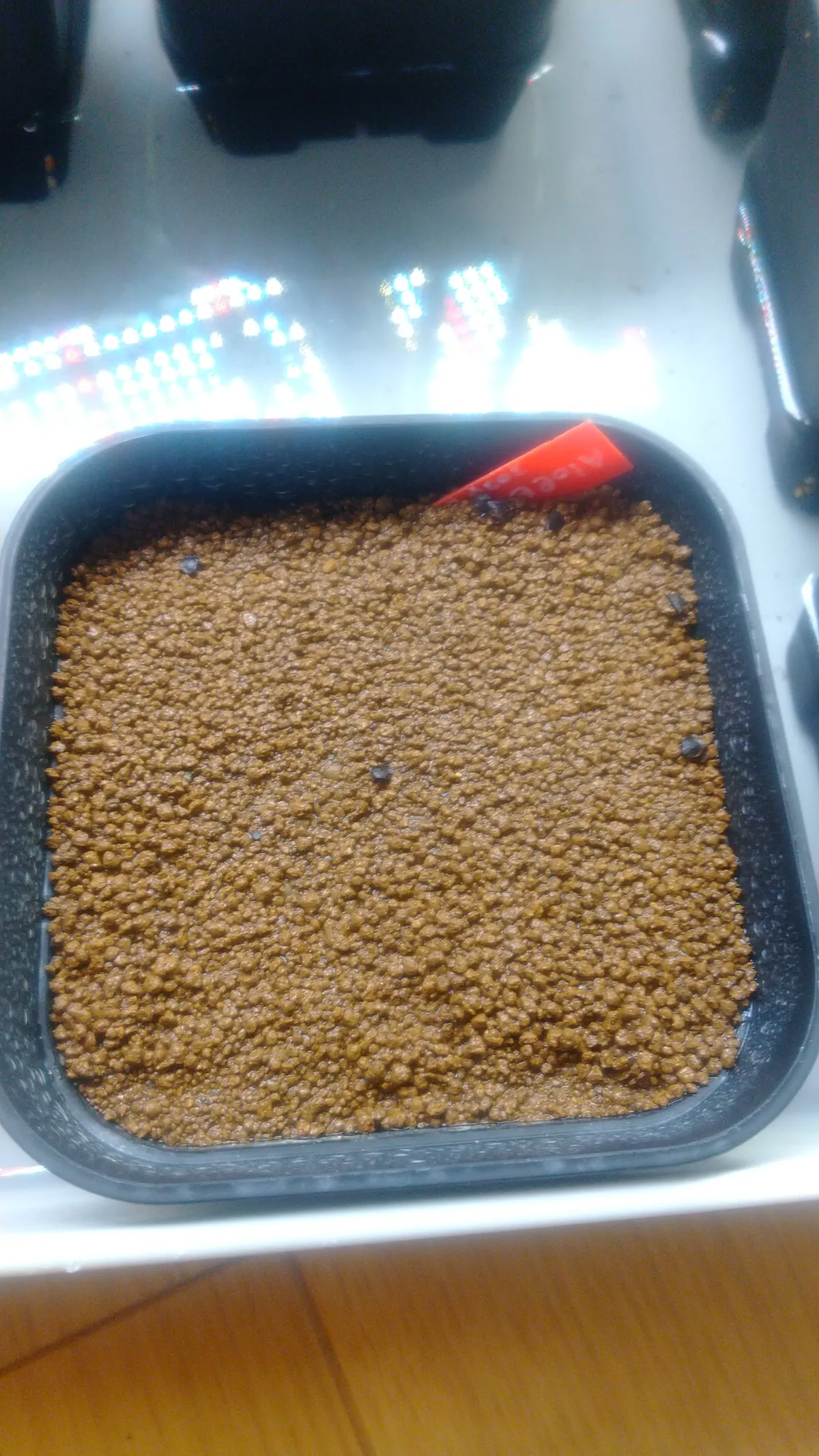 Boswellia neglecta (ボスウェリア ネグレクタ)