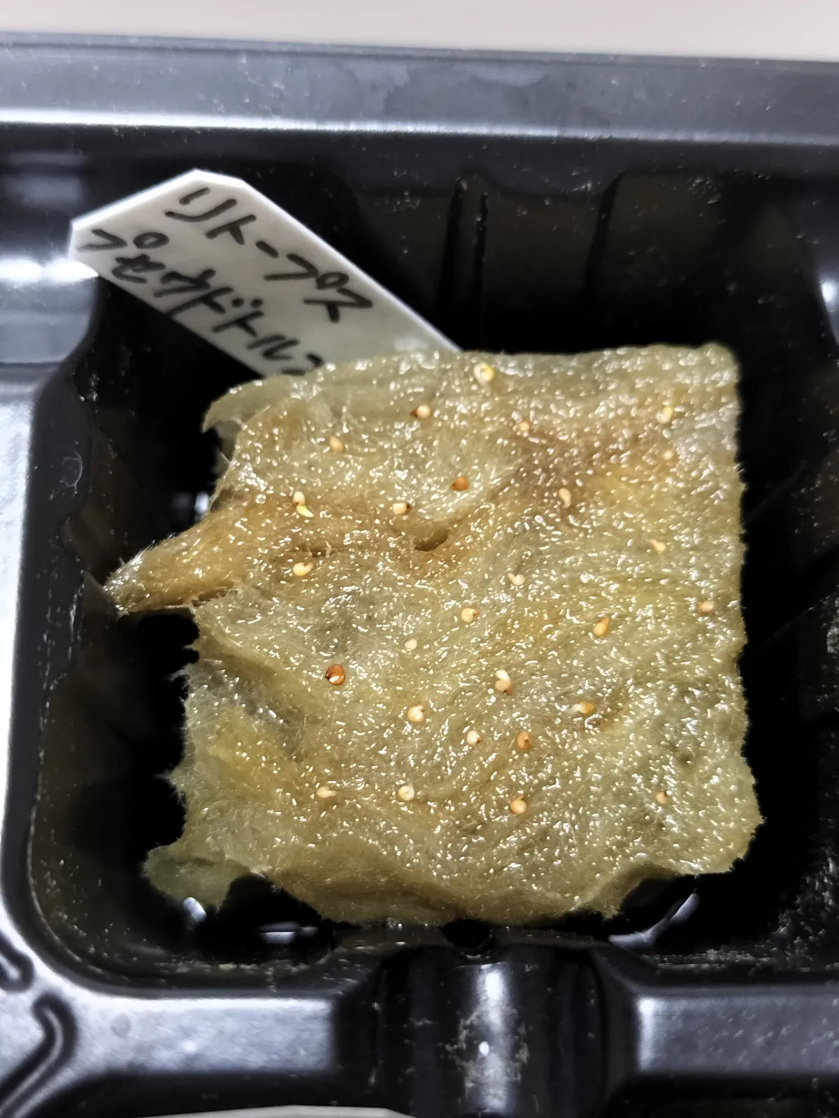 Lithops pseudotruncatella (リトープス セドウトランカテーラ)