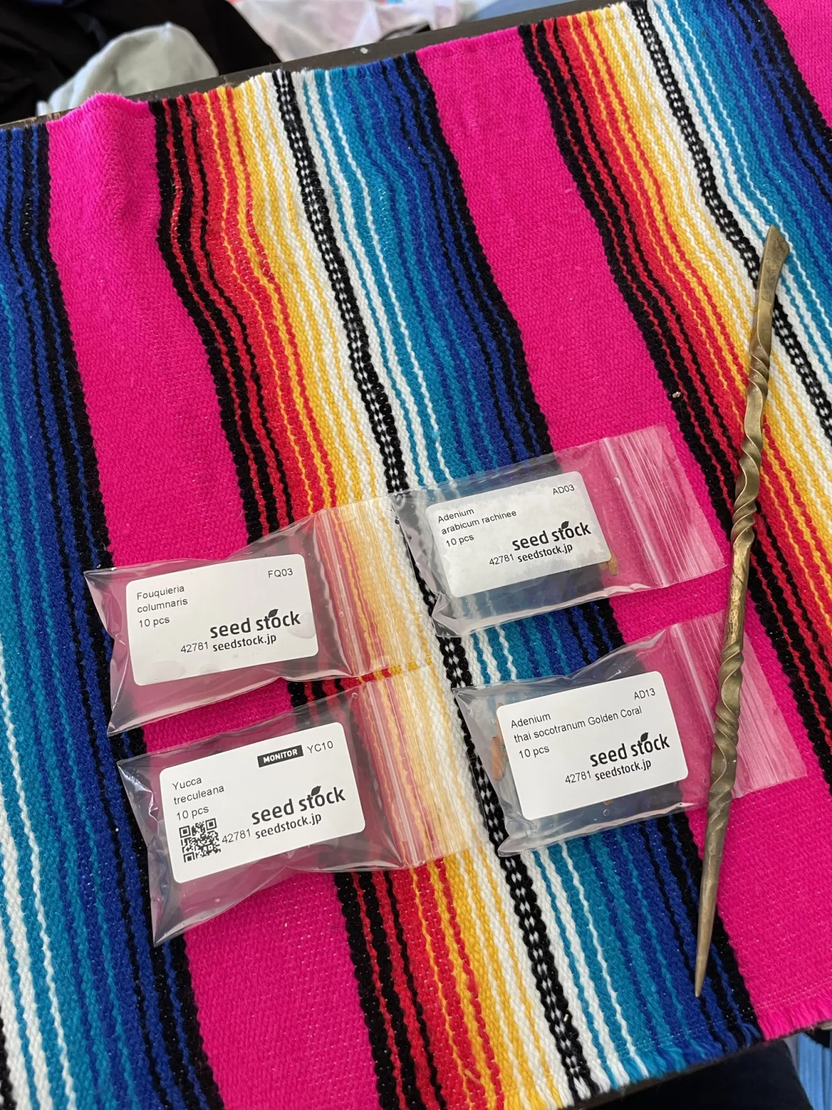 Adenium obesum Golden Coral (アデニウム タイソコトラナムゴールデンコーラル)