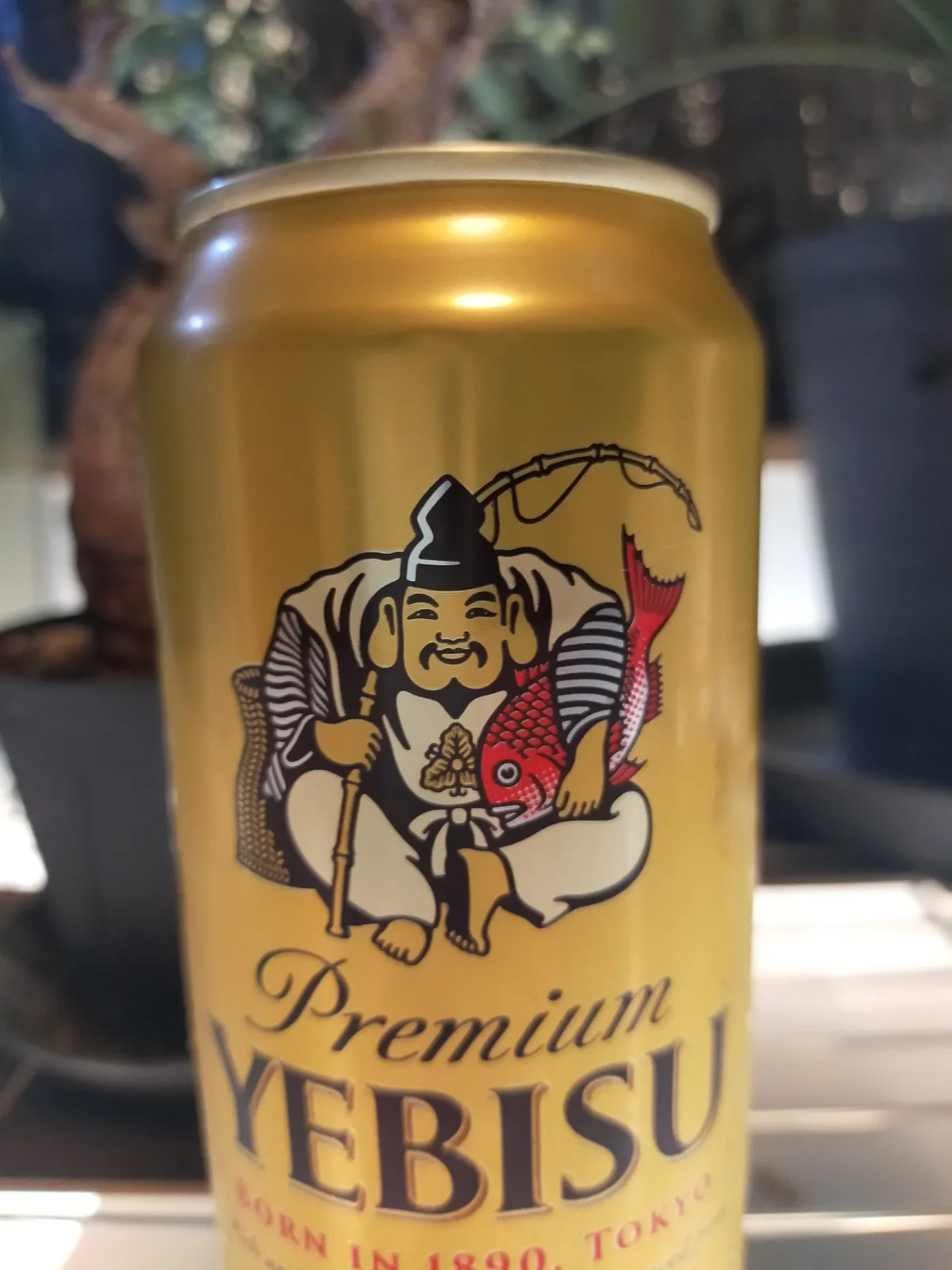 Aloe polyphylla (アロエ ポリフィラ)