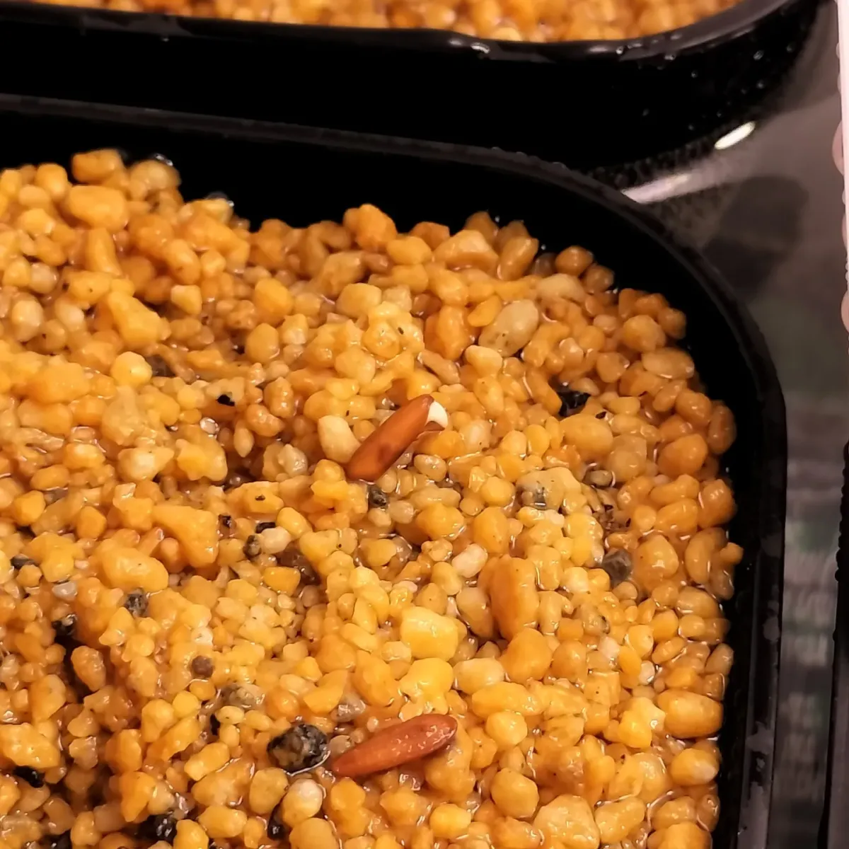 Pachypodium rosulatum var. gracilius (パキポディウム グラキリス)