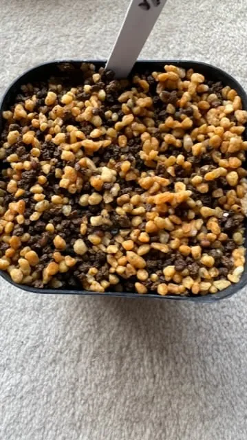 Euphorbia primulifolia var. begardii (ユーフォルビア ベガルディ)