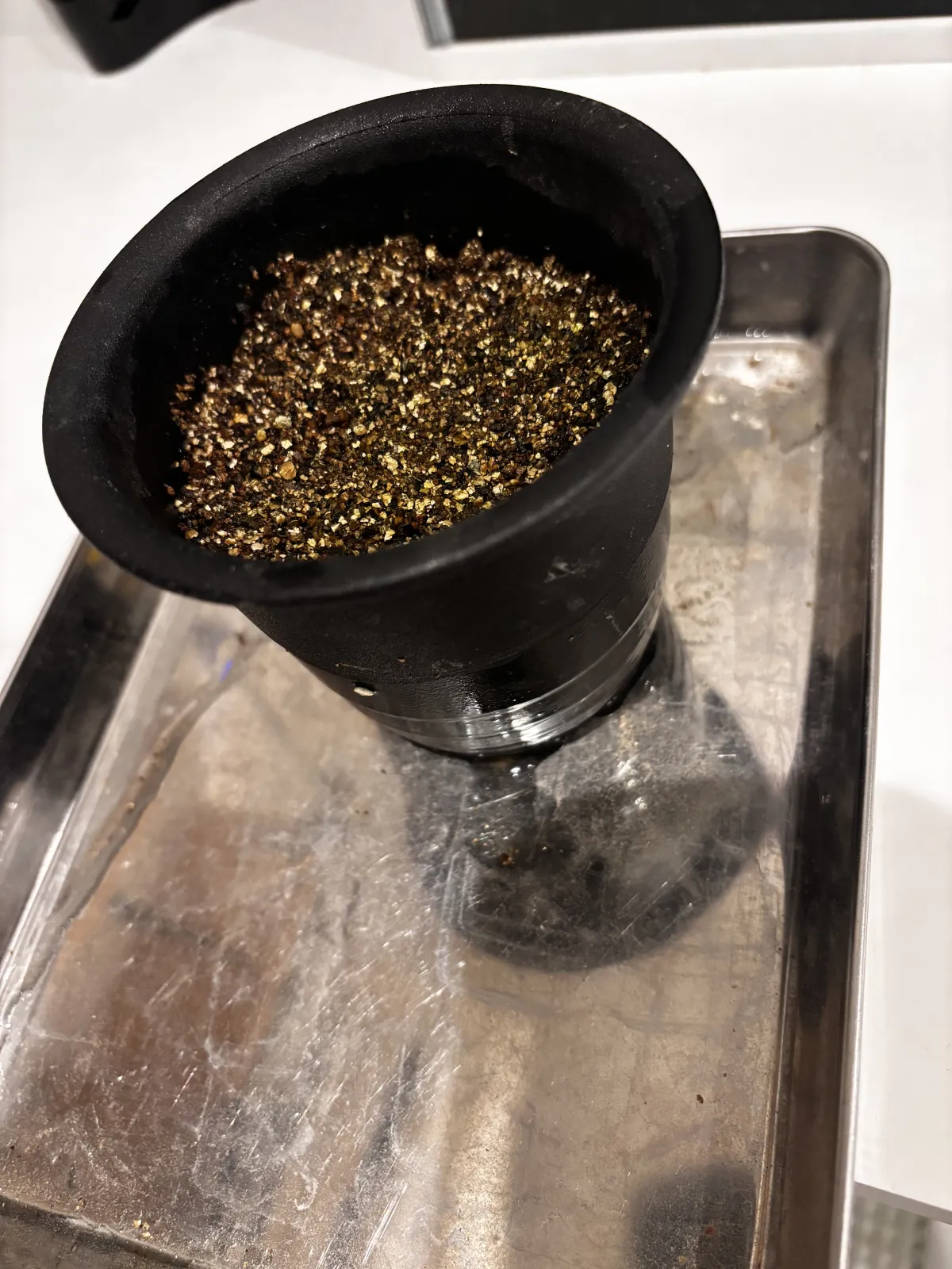 Bursera fagaroides (ブルセラ ファガロイデス)