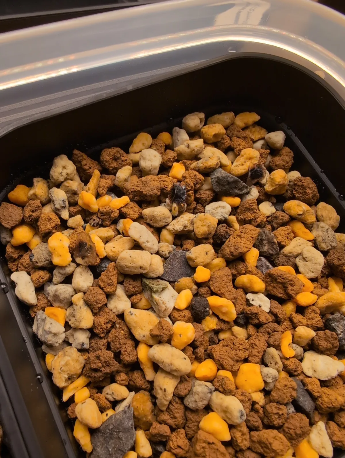 Aloe polyphylla (アロエ ポリフィラ)