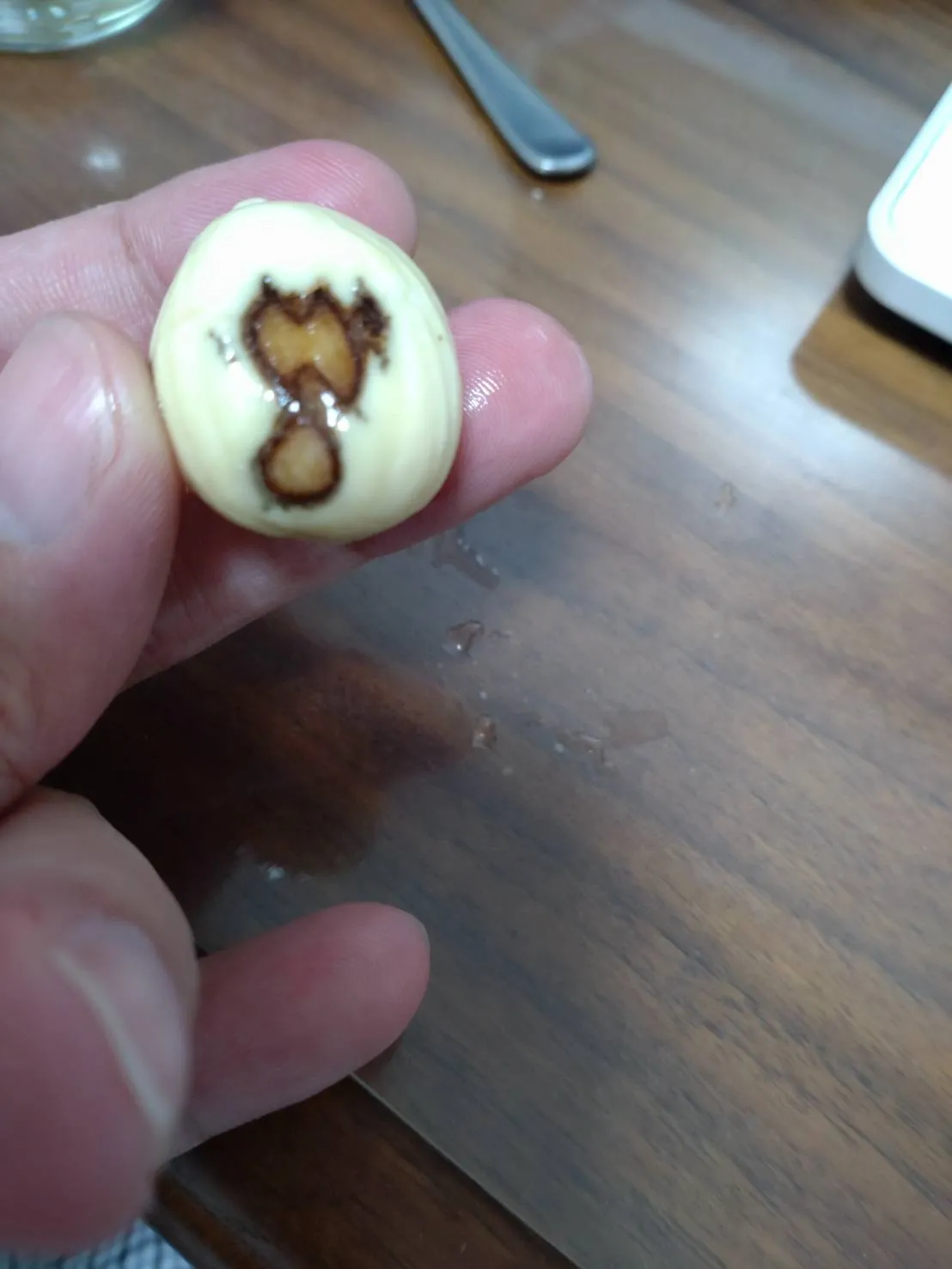 Dioon merolae (ディオーン メロラエ)