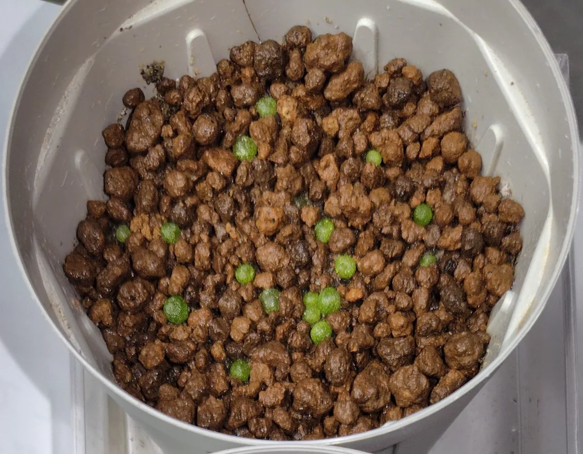 Dinteranthus wilmotianus (ディンテランタス 幻玉)