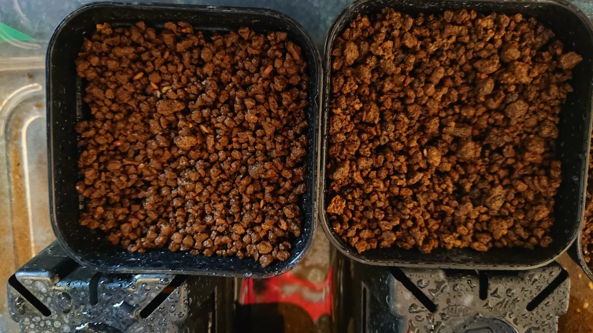 【Monitor】Pachypodium brevicaule ssp. brevicaule