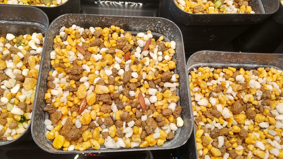 Adenium arabicum Godji x BFNK (アデニウム アラビカム ゴッジ x BFNK)