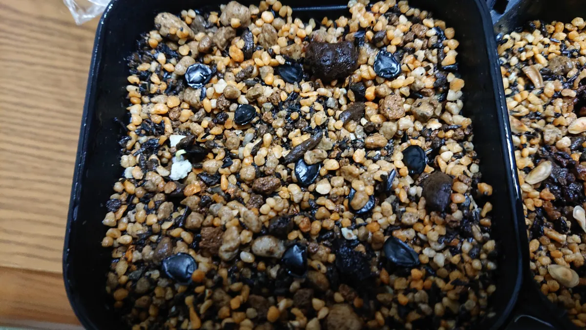 Agave americana (アガベ トリマンブルー)