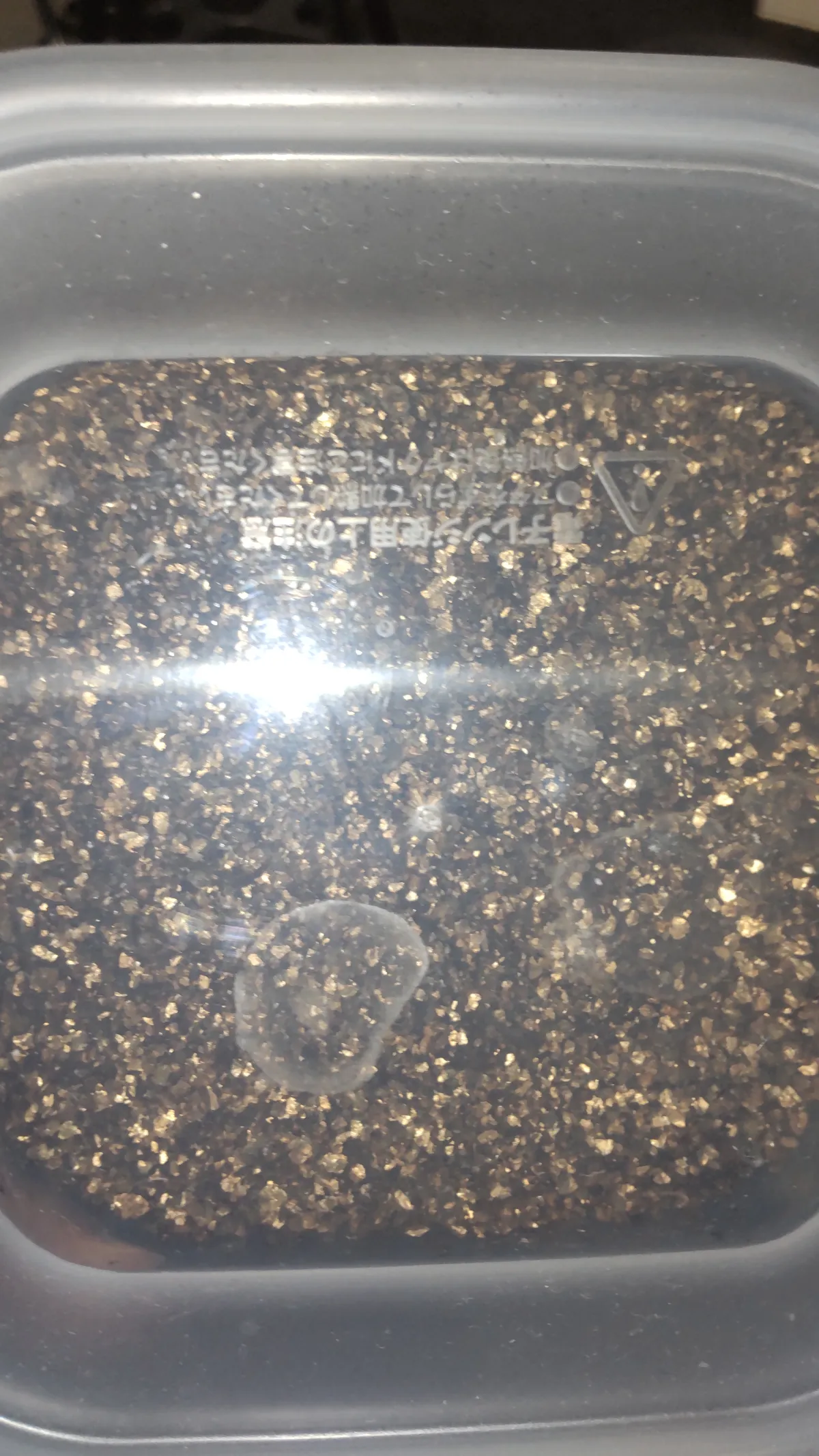 Tylecodon paniculatus (ティレコドン パニクラタス)