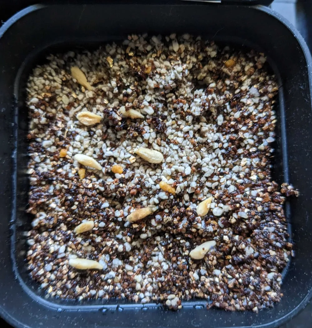 Pachypodium geayi (パキポディウム ゲアイー)