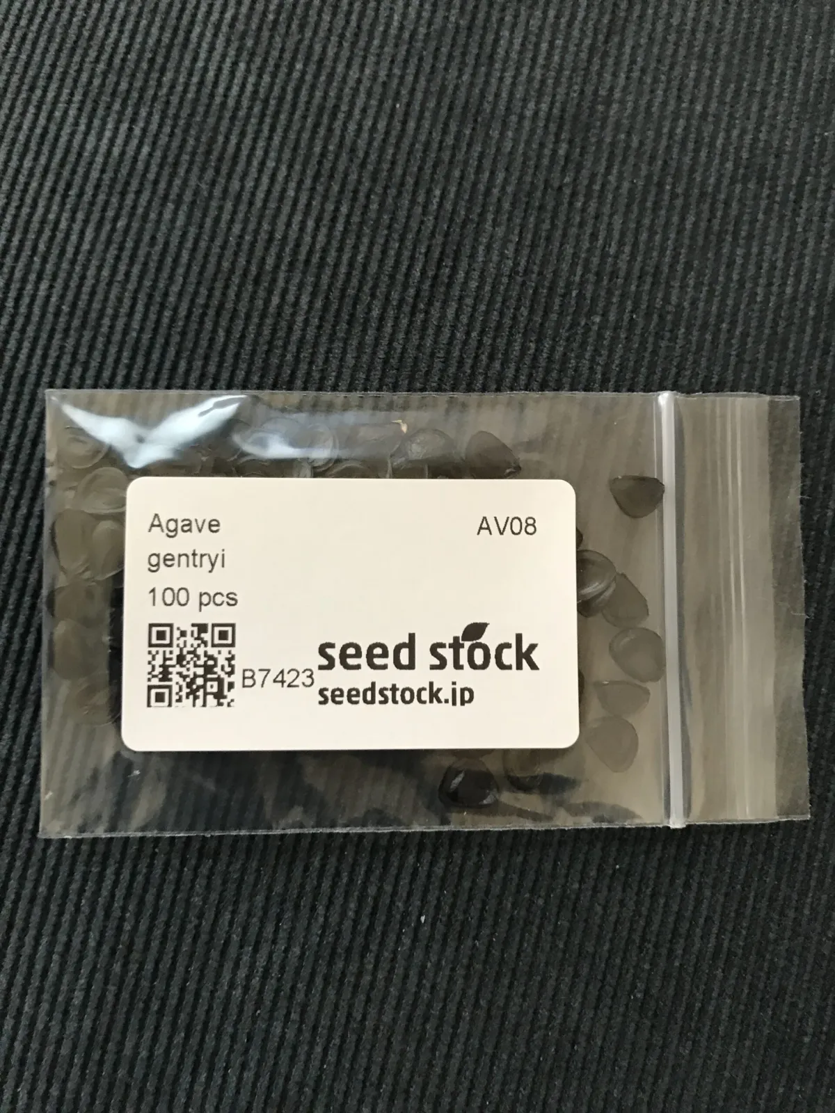 Agave gentryi (アガベ ジェントリー)