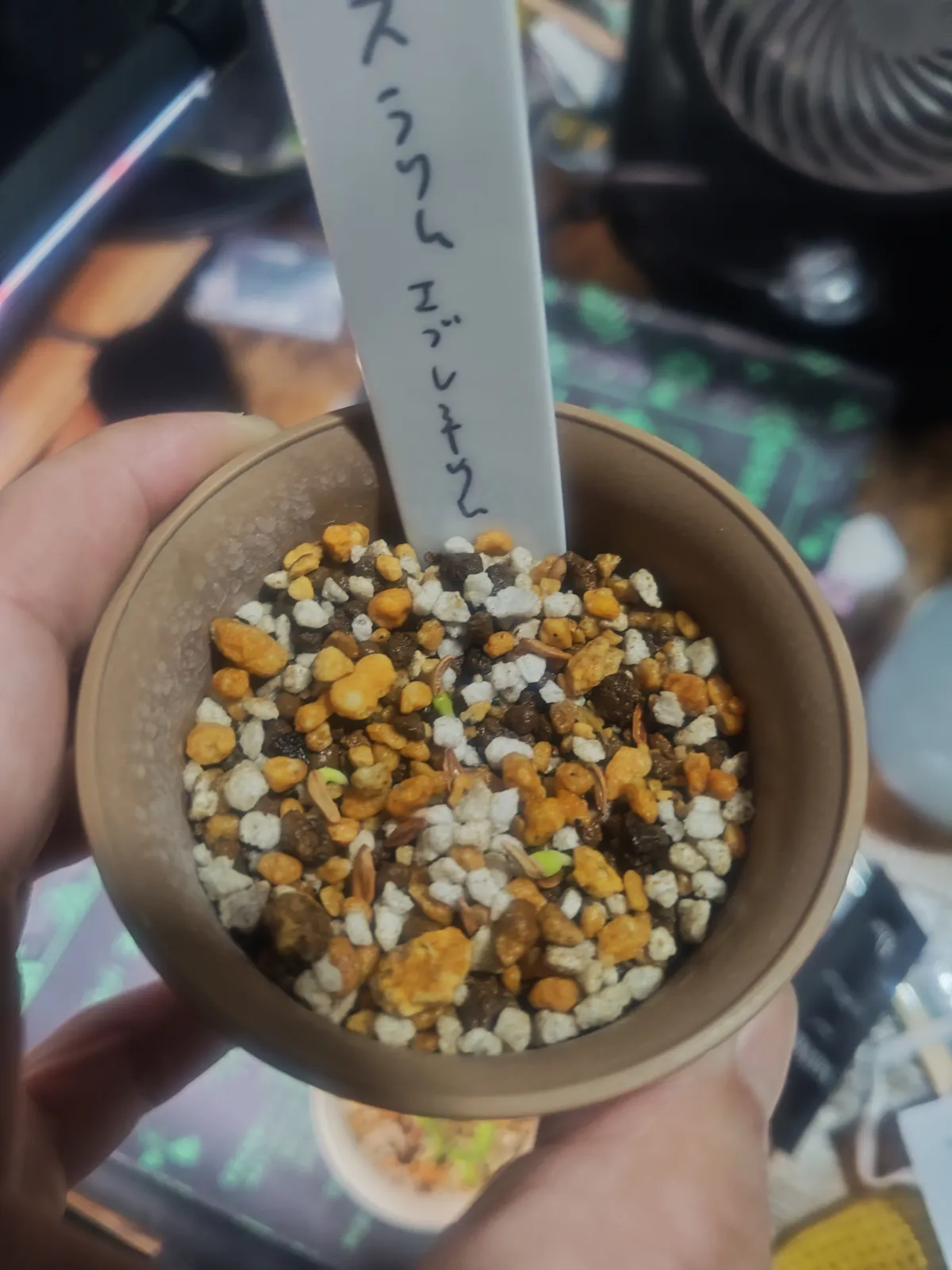 Pachypodium rosulatum ssp. rosulatum (パキポディウム ロスラーツム)