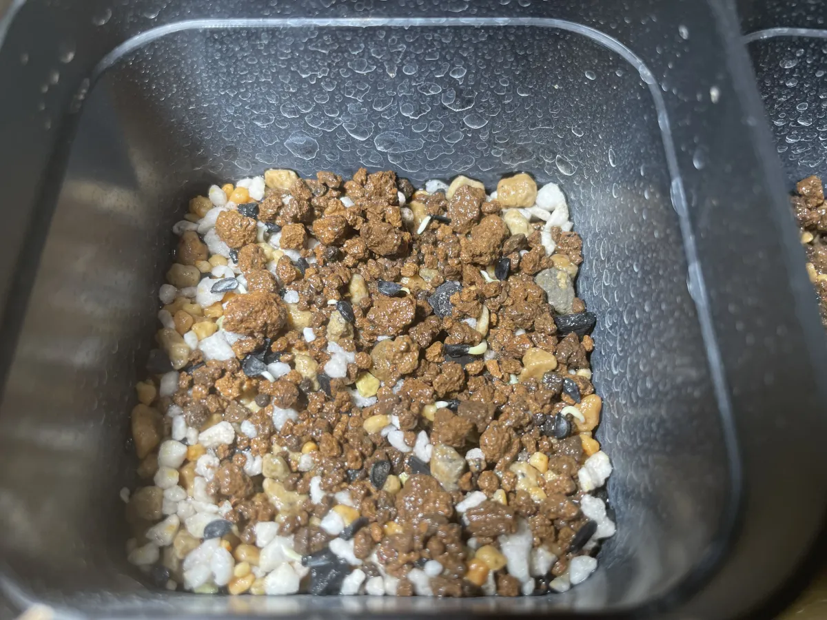 Agave oteroi (アガベ オテロイ)