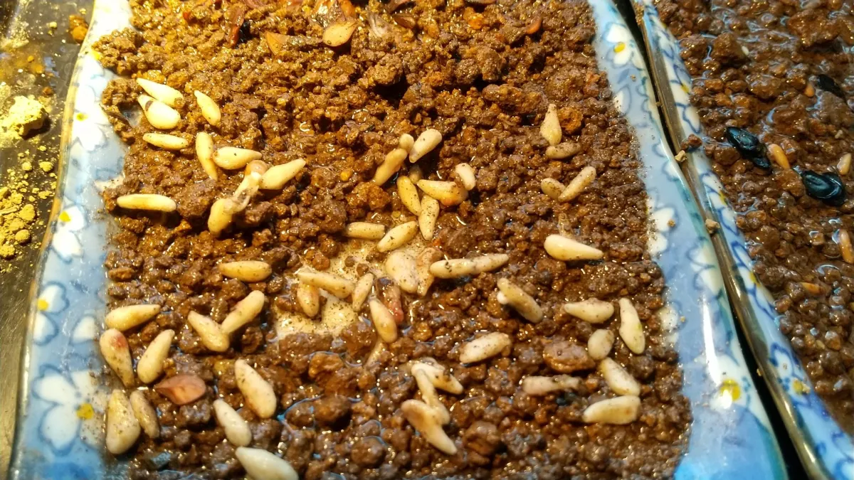 Pachypodium geayi (パキポディウム ゲアイー)