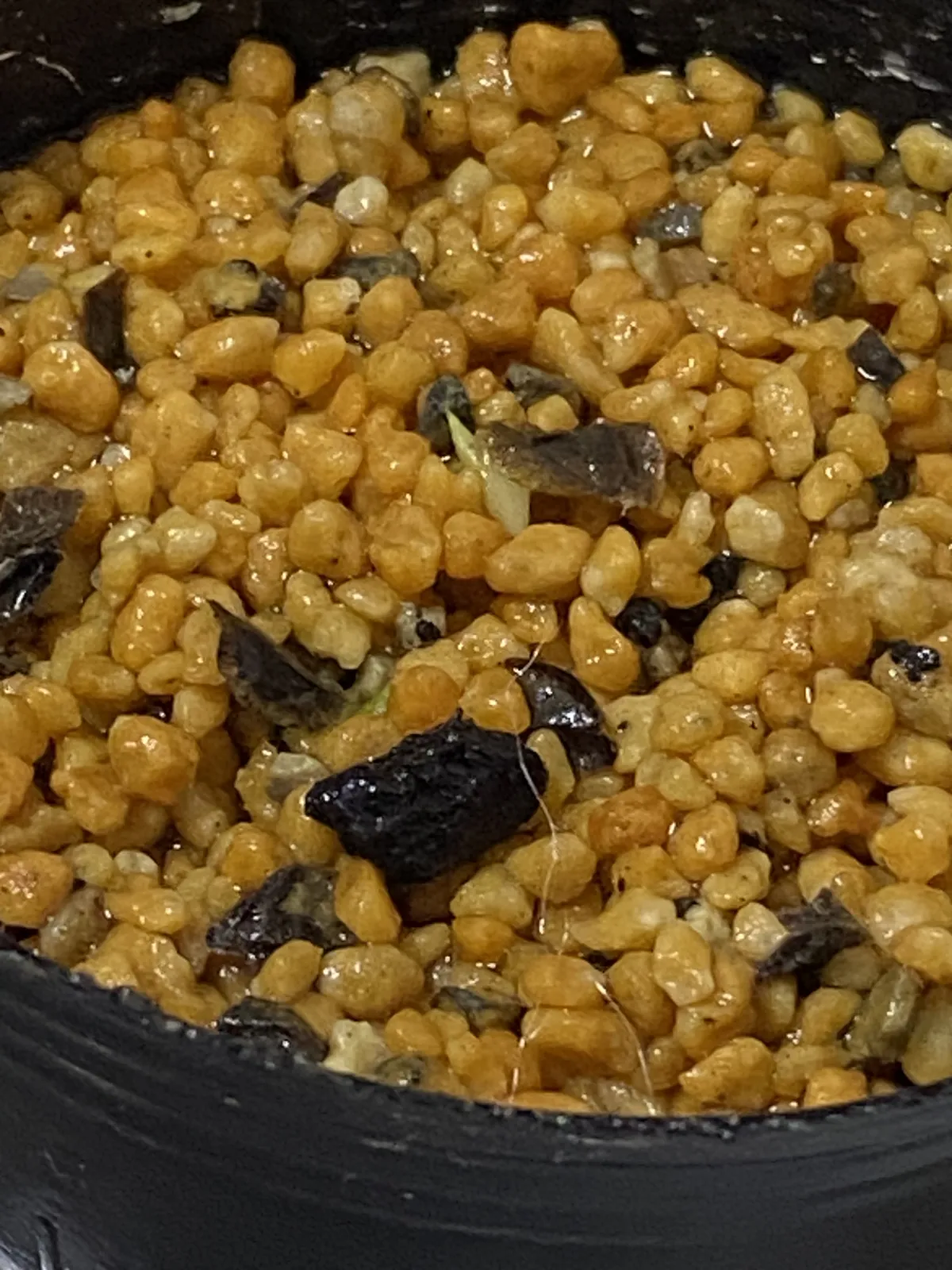 オマケアロエ鬼切丸