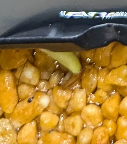 Pachypodium brevicaule subsp. leucoxanthum (パキポディウム レウコキサンツム)