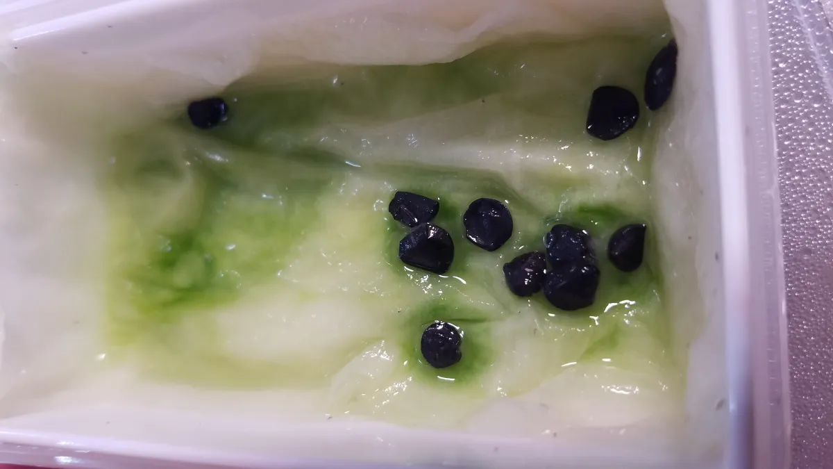 Hesperocallis undulata (ヘスペロカリス アンデュラータ)