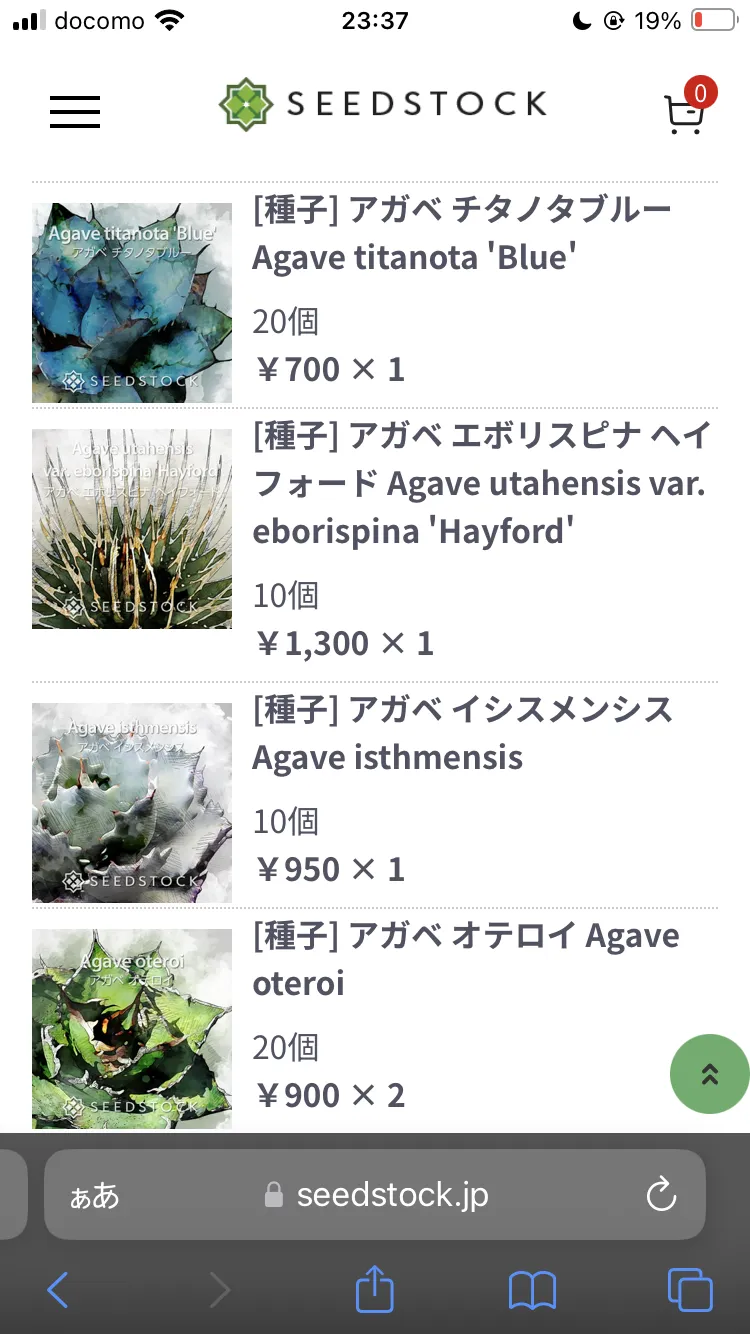 Agave oteroi (アガベ オテロイ)