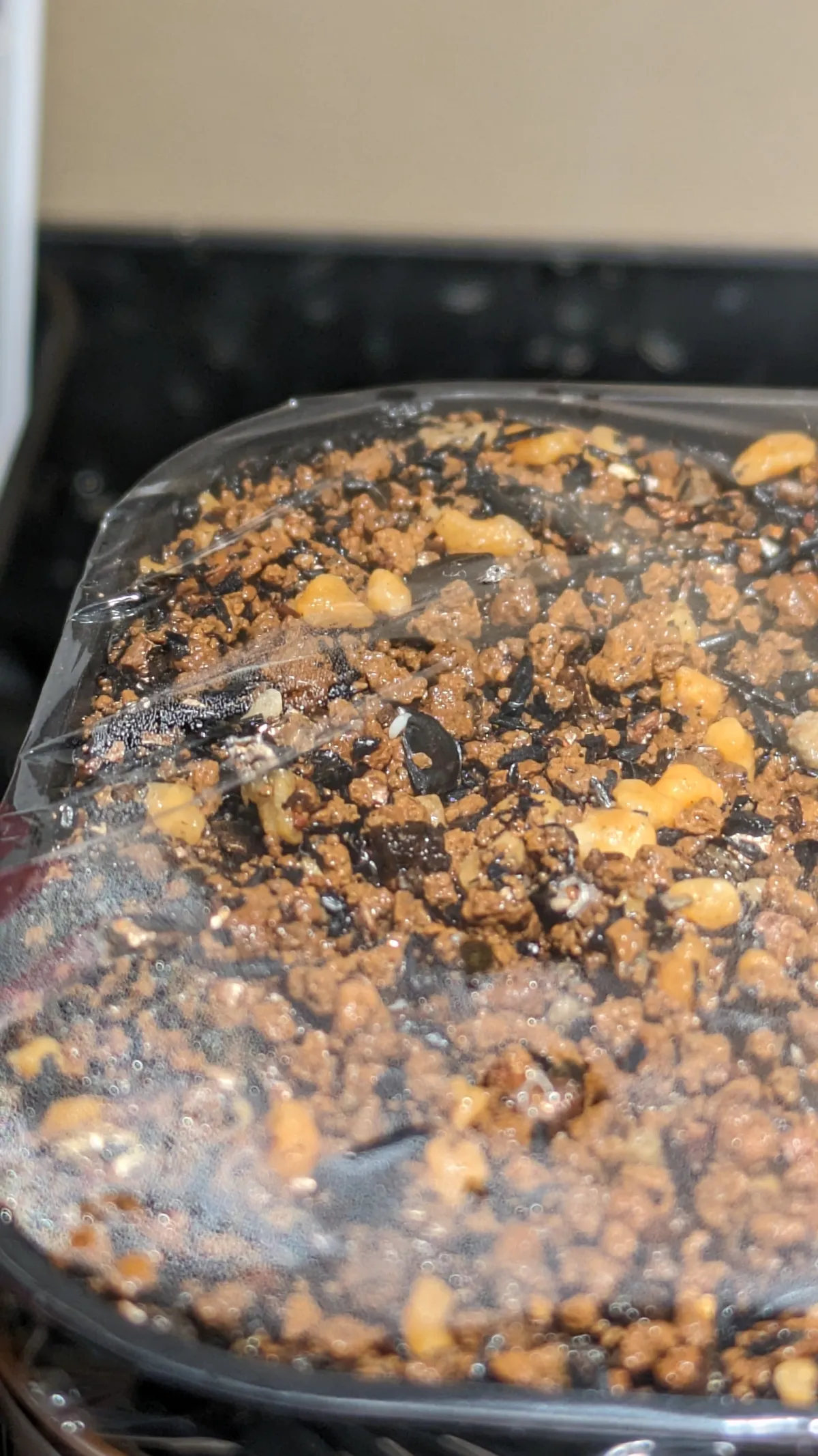 Agave vazquezgarciae (アガベ バスケスガルシア)