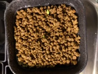 Euphorbia stellata (ユーフォルビア ステラータ 飛竜)