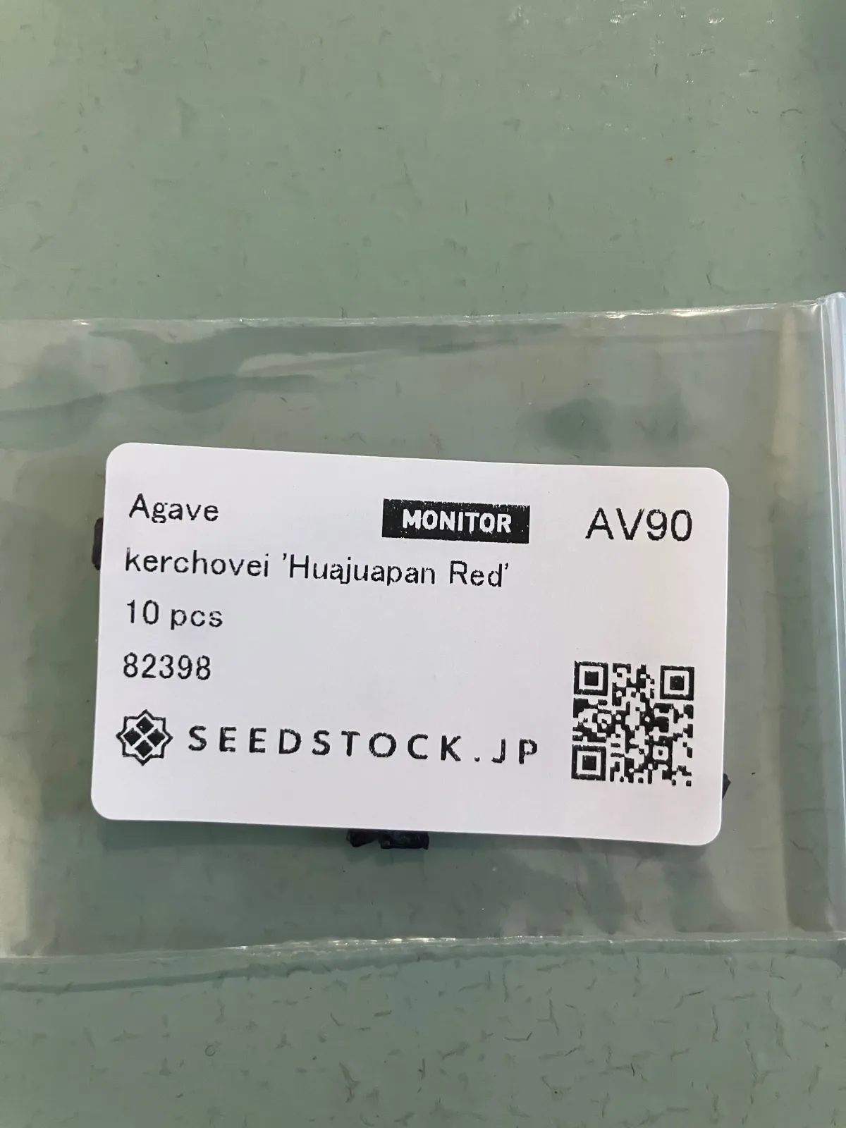 Agave kerchovei 'Huajuapan Red' (アガベ ワフアパンレッド)