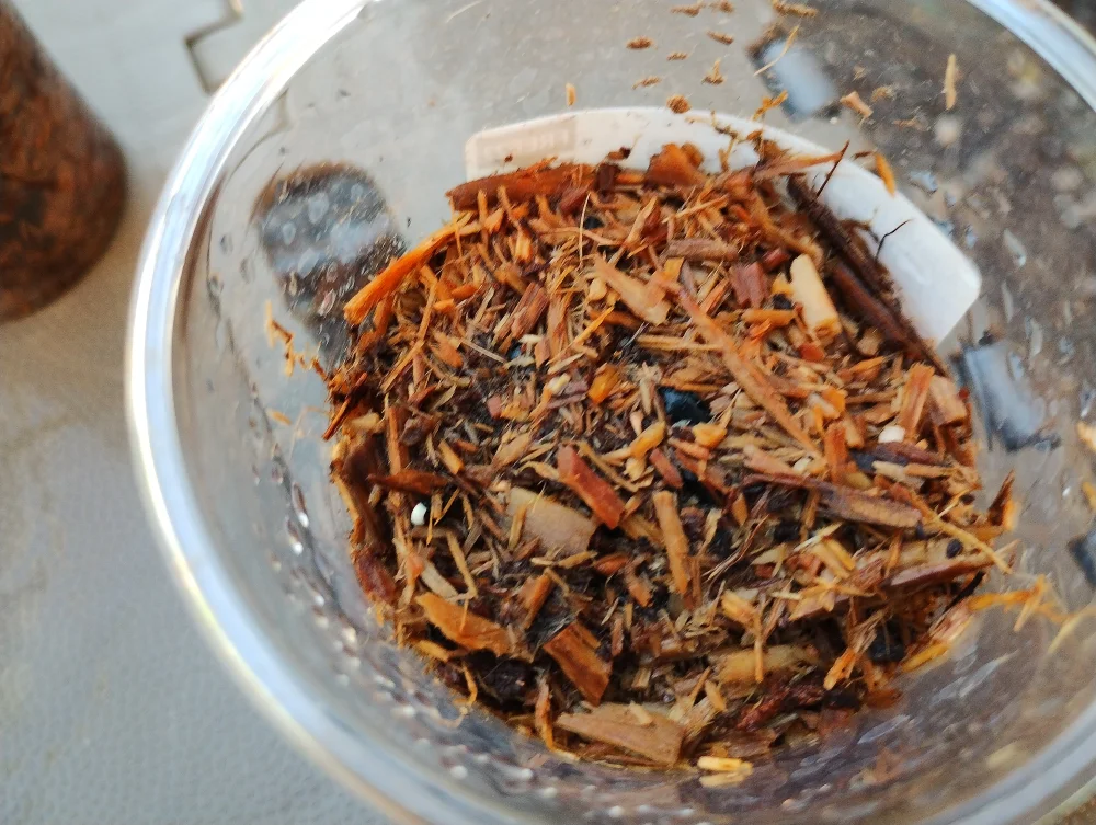 Agave parryi ssp. parryi ([少量追加:タネの日プレゼント] アガベ パリー)