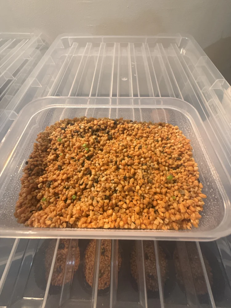 MIX Lithops lesliei mix (リトープス レスリー)