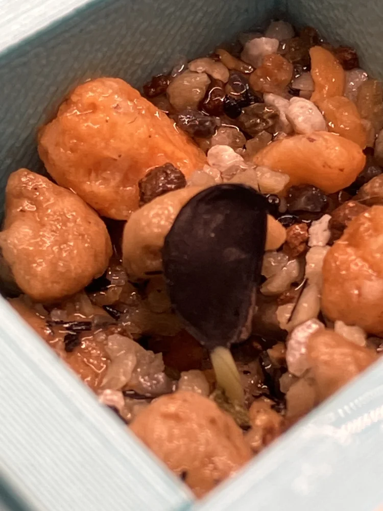 x (アガベ パルメリ)